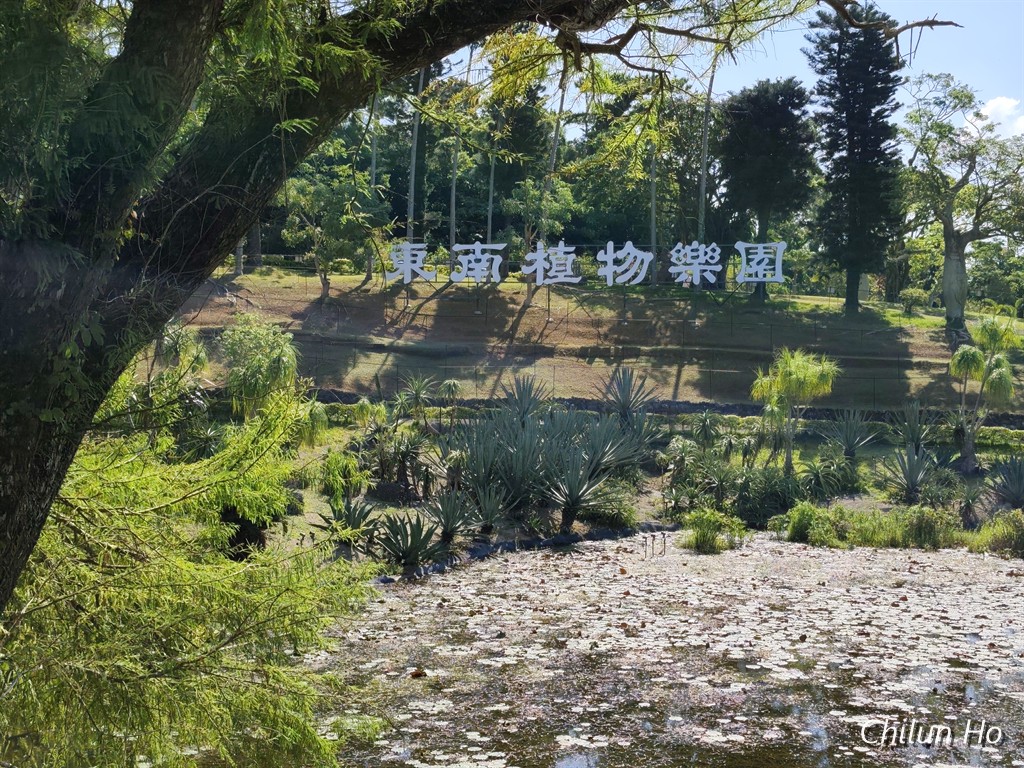 知花